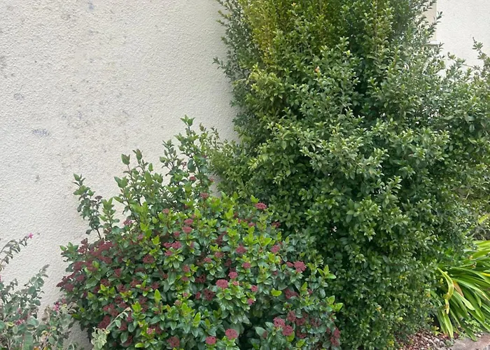 Apartmán Rez De Villa, Confort 4 Pers Parking Proche Ajaccio Alata