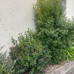 Daire Rez De Villa, Confort 4 Pers Parking Proche Ajaccio Alata